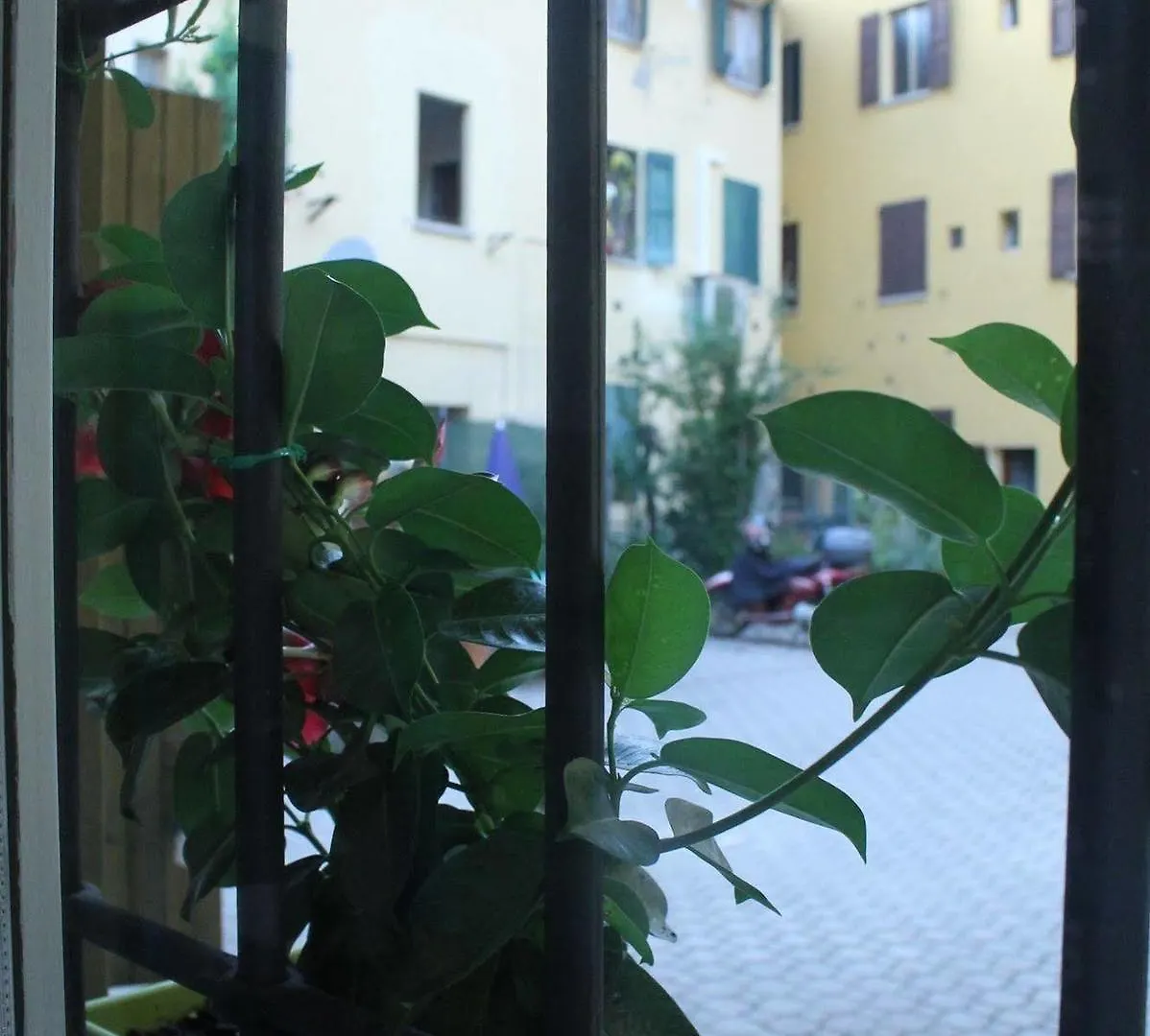 B&B Il Delfino A Μπολόνια