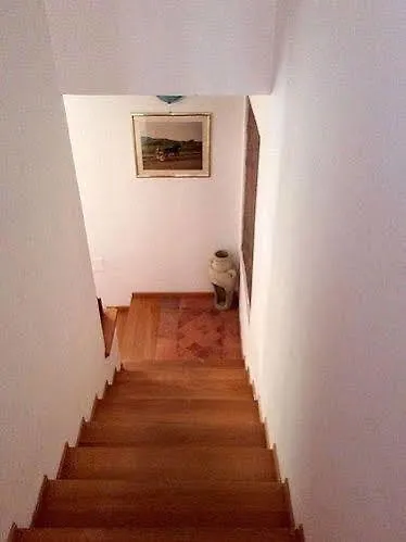 B&B Il Delfino A Boloňa Hotel